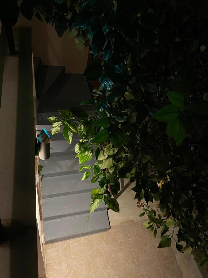 Maria'S Haus In Artemida 아파트 외부 사진